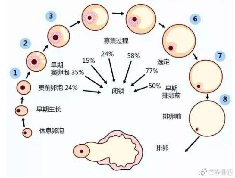 泰国试管婴儿手术医院
