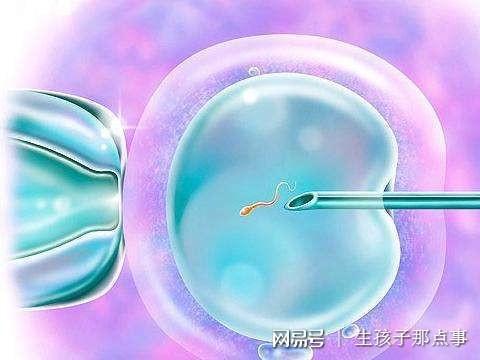 代孕被骗