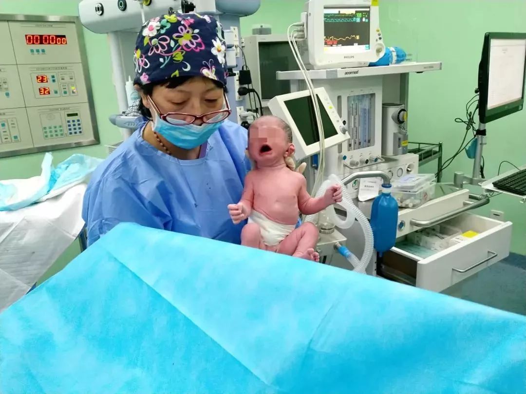 代孕 诈骗