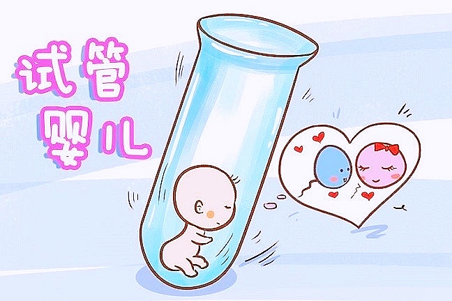 代孕诈骗案